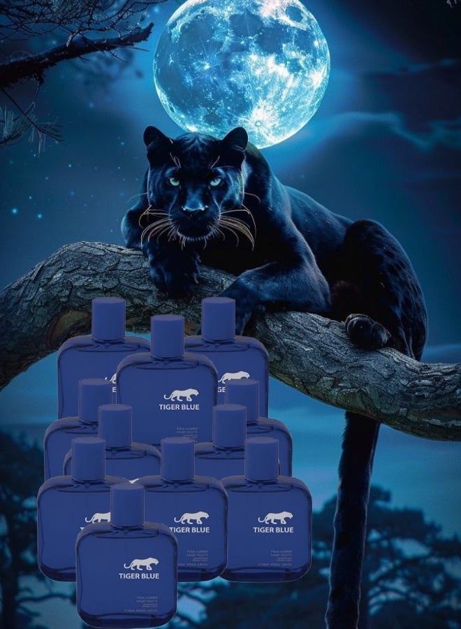 TRI 11 Pieces Tiger Blue Perfume 100ML - Image 1