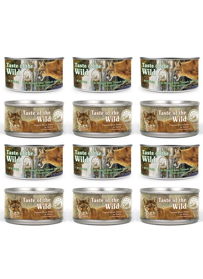 Taste of the Wild Cat Food Variety Pack Box - pzsku/ZB262B9FE2C64124FD132Z/45/_/1737031977/64747777-f74d-4dda-84ac-aa6e92e7367e