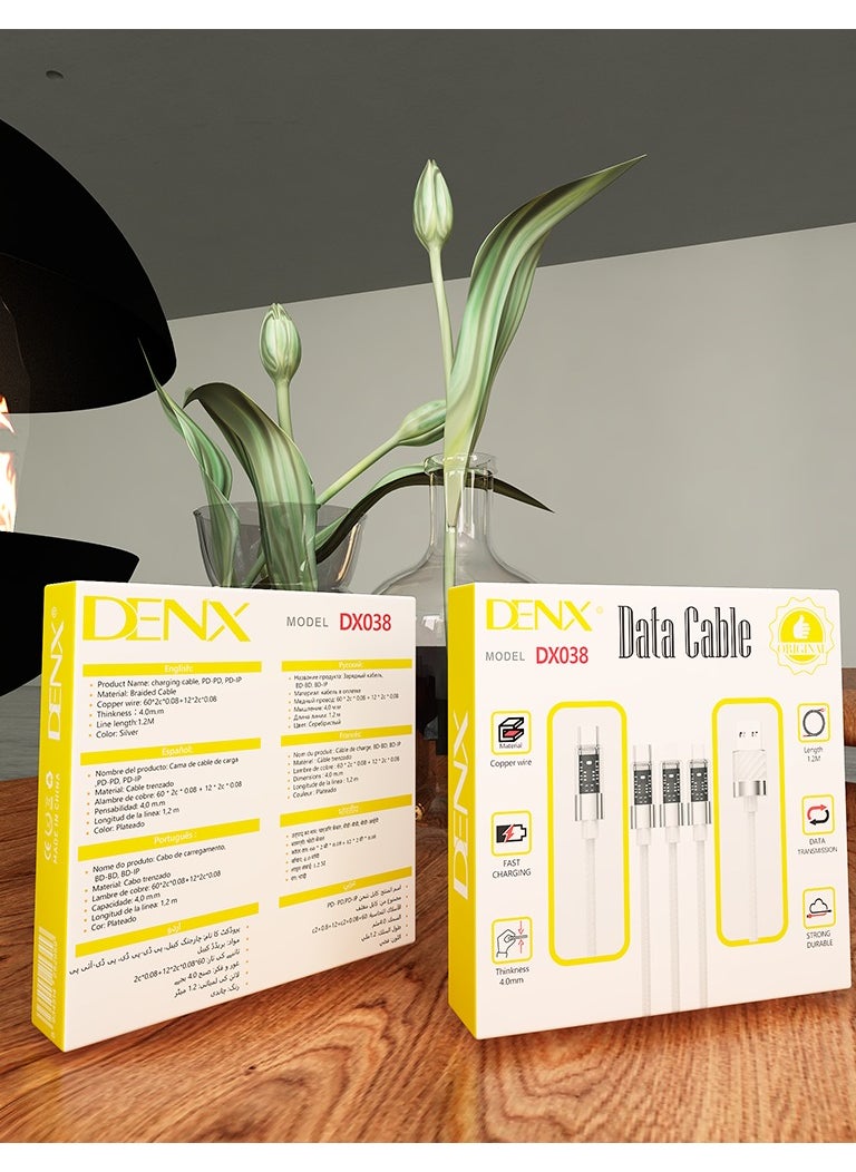 Denx - Multi-type charger - Image 1