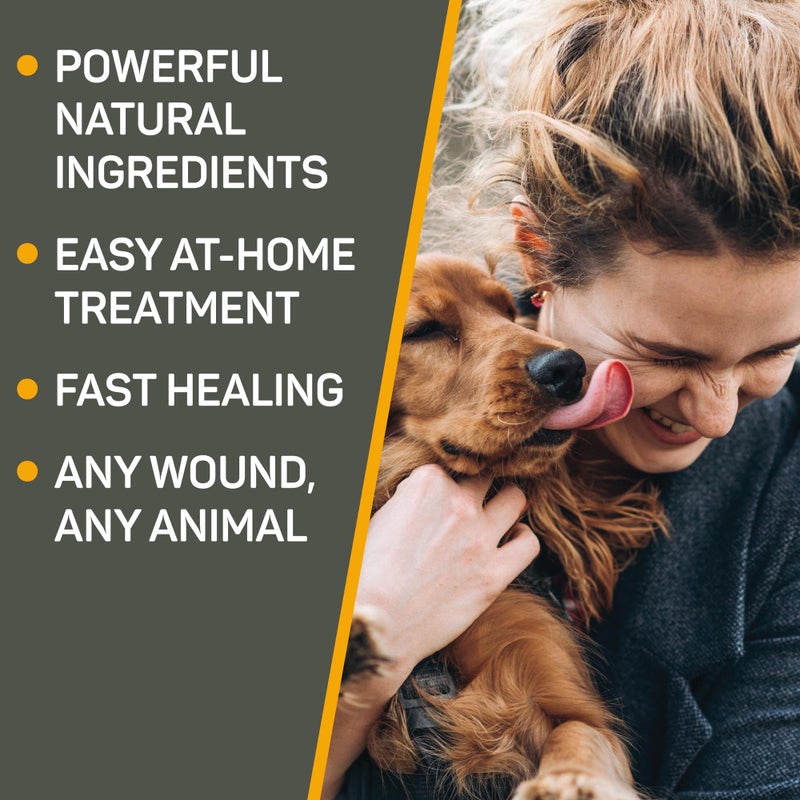 Absorbine Silver Honey Hot Spot & Wound Care Ointment for Dogs, Cats, Small Animals, 2oz Tube - Image 3