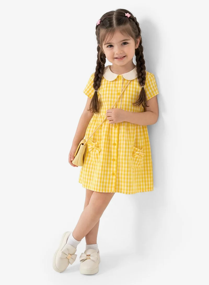 Pinata COLLAR DRESS
