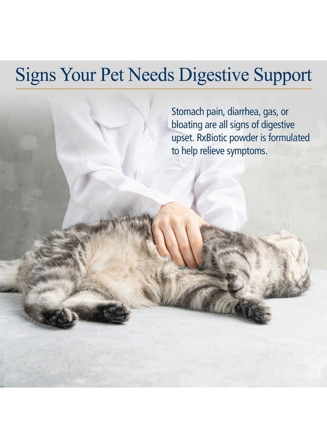 Rx Vitamins Rx Biotic Probiotics For Dogs & Cats  Digestive Supplement For Pets  2.12 Oz  - Image 4