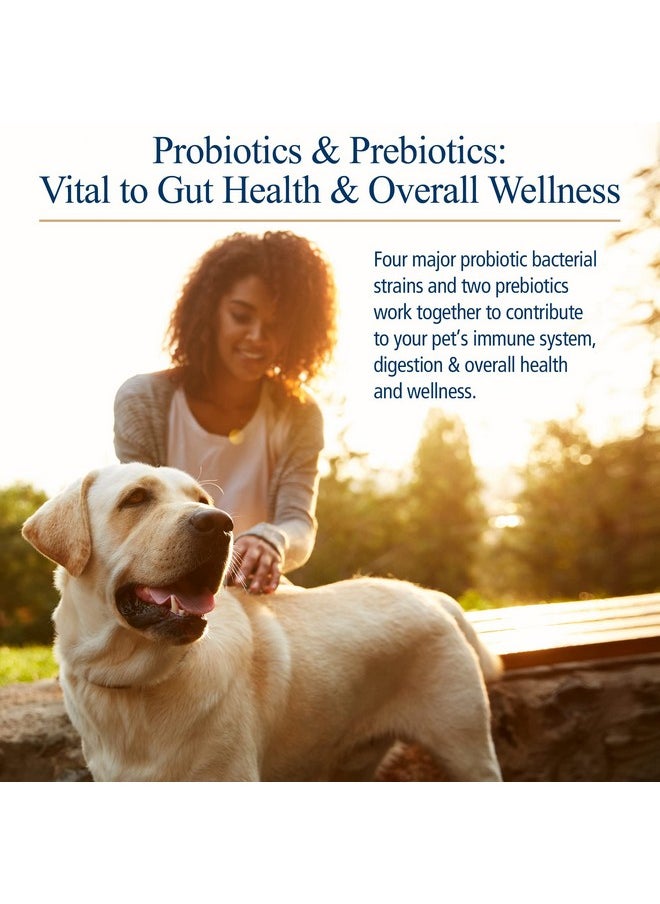 Rx Vitamins Rx Biotic Probiotics For Dogs & Cats  Digestive Supplement For Pets  2.12 Oz  - Image 3