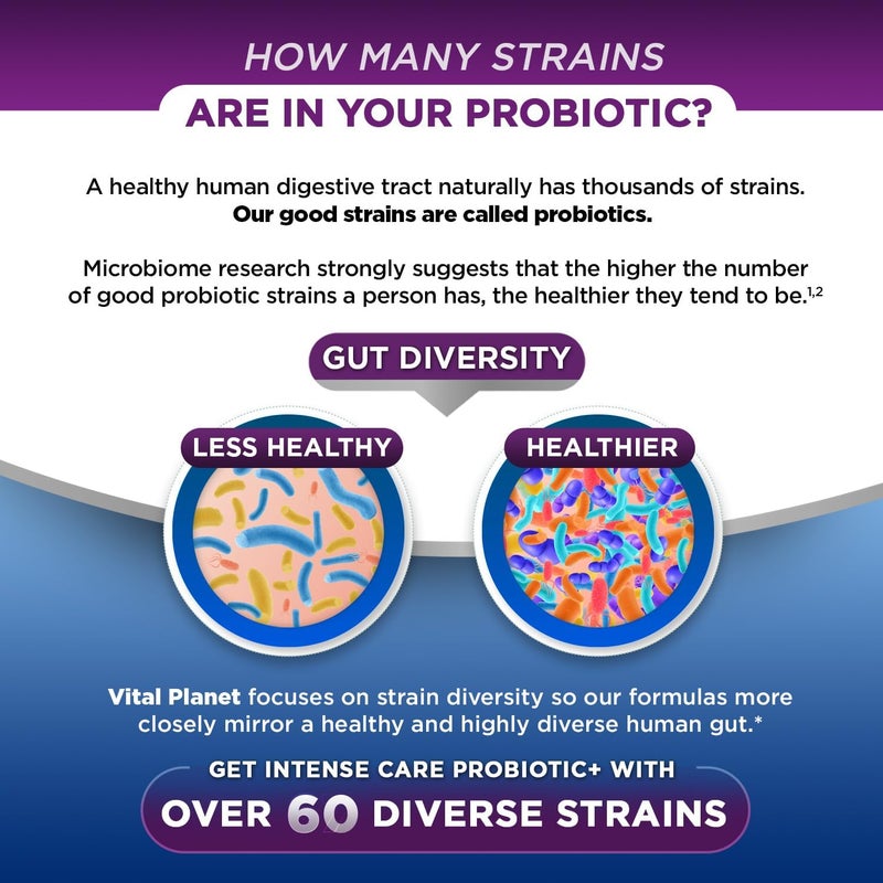 Vital Planet فيتال كوكب رعاية مكثفة للدماغ والمزاج بروبيوتيك عضوي بريبيوتيك بوستبيوتيك بارابيوتيك مكمل صحي كامل 4 في 1 للبالغين 65 مليار CFU 67 سلالة صحة هضمية ومناعية 30 حبة - Image 4
