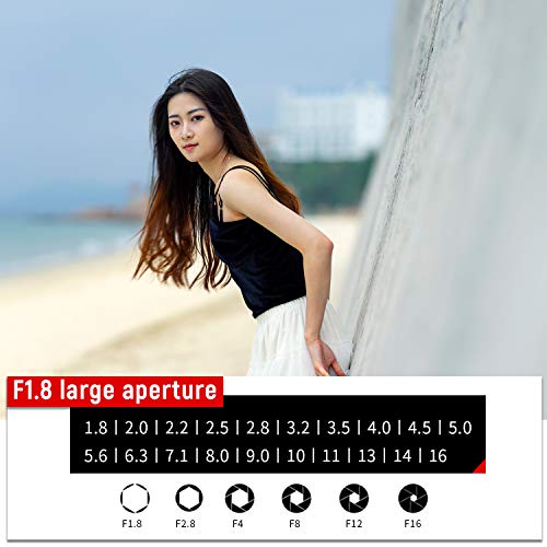 VILTROX فيلتروكس 85 مم F/1.8 مارك II STM كامل الإطار 85 مم f1.8 ii للتركيز التلقائي AF لكاميرات سوني E-Mount A7III A7RIII A7SII A7II a6500 a6400 a6300 - Image 5