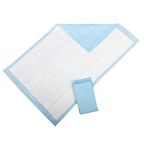 Medline Medline Protection Plus Light Absorbency Disposable Underpads, 23x24 Inches, Ultimate Protection for Beds, Floors, Furniture, Pets - 200 Count 