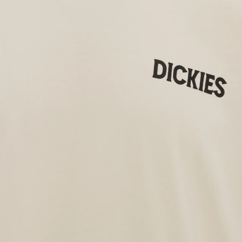 Dickies Men's Beach T-Shirt