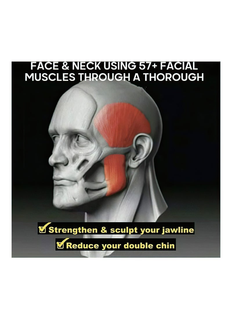 Generic Jaw Exercise Ball 3x2.5x2.5cm  - Image 3