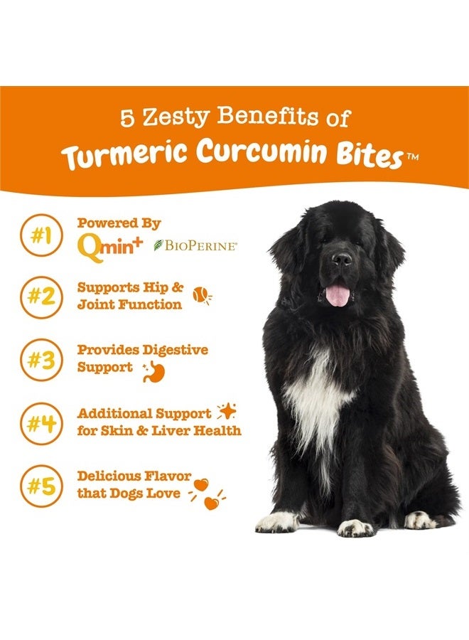 Turmeric Curcumin for Dogs - for Hip & Joint Mobility Supports Canine Digestive Cardiovascular & Liver Health Coconut Oil for Skin Health with 95% Curcuminoids + BioPerine Duck, 90 Count