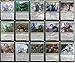 MTG Decks & More Elite Commander 5 Color Eldrazi Deck Ulalek Fused Atrocity EDH cEDH 100 Card Custom MTG Deck Very Strong - Image 4