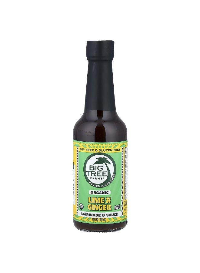 Big Tree Farms, Organic Lime & Ginger, Marinade & Sauce, 10 fl oz (296 ml)