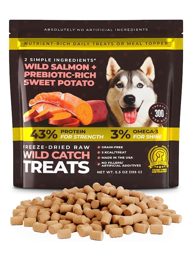 مكافآت Pup Choice Wild Catch - مكافآت سمك السلمون المجفف بالتجميد والبطاطا الحلوة للكلاب - بروتين واحد، 43% بروتين، 3% أوميغا 3 - مكافآت تدريب خام ومكملات للوجبات - خالية من الحبوب - 5.5 أونصة (300 قطعة) - Image 1