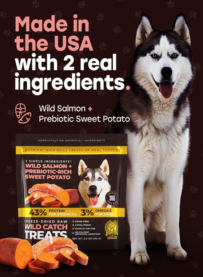 مكافآت Pup Choice Wild Catch - مكافآت سمك السلمون المجفف بالتجميد والبطاطا الحلوة للكلاب - بروتين واحد، 43% بروتين، 3% أوميغا 3 - مكافآت تدريب خام ومكملات للوجبات - خالية من الحبوب - 5.5 أونصة (300 قطعة) - Image 2