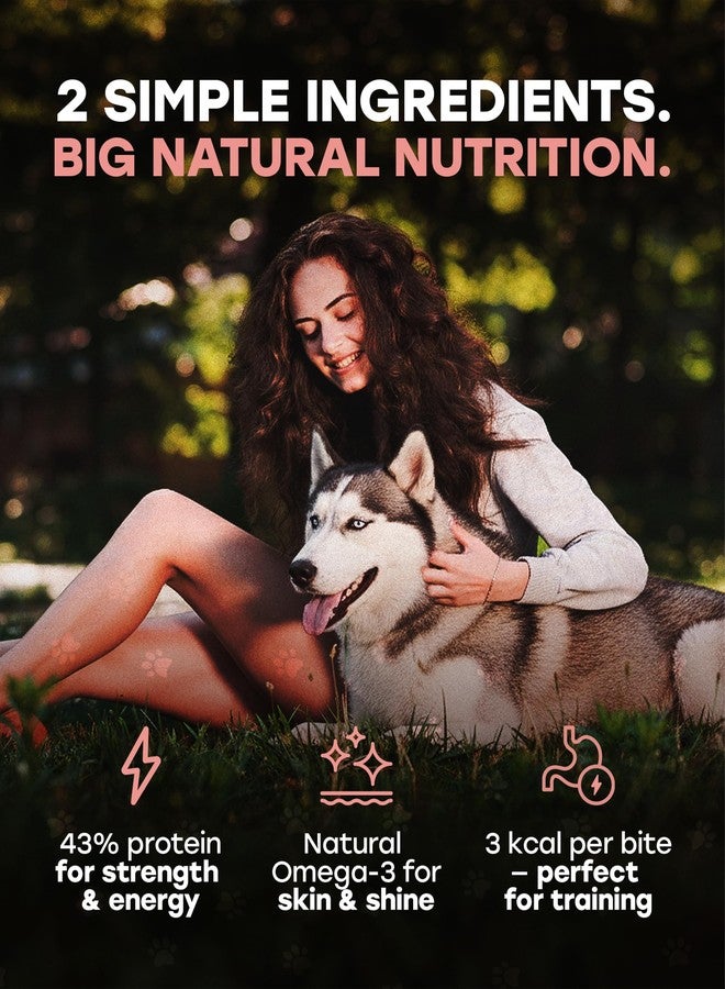 مكافآت Pup Choice Wild Catch - مكافآت سمك السلمون المجفف بالتجميد والبطاطا الحلوة للكلاب - بروتين واحد، 43% بروتين، 3% أوميغا 3 - مكافآت تدريب خام ومكملات للوجبات - خالية من الحبوب - 5.5 أونصة (300 قطعة) - Image 5