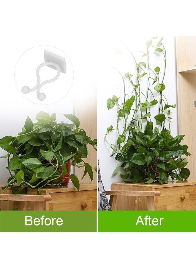 Pinsofy Plant Climbing Wall Fixture, Wall Vines Holder Easy Installation Self Adhesive for Garden for Home for Vegetable(green) - Image 3