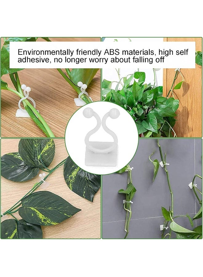 Pinsofy Plant Climbing Wall Fixture, Wall Vines Holder Easy Installation Self Adhesive for Garden for Home for Vegetable(green) - Image 2
