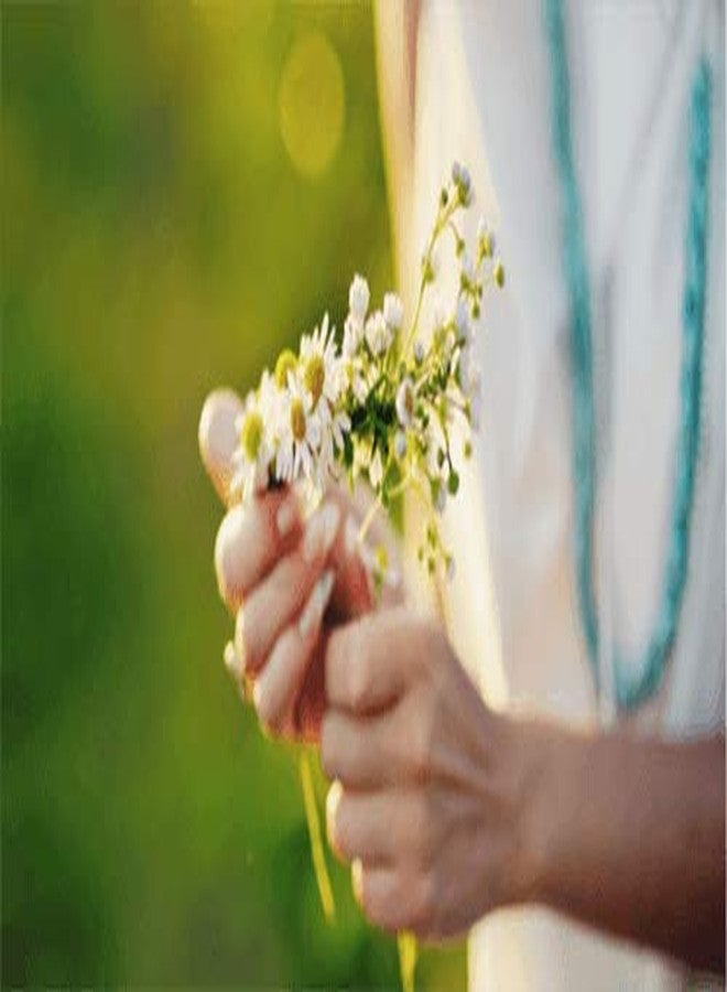 Kamill 3x75 ml Hand & Nail Cream ANTI-AGE with BIO Camomile, UV Filter, Vitamin E and Q10 | Germany - Image 2