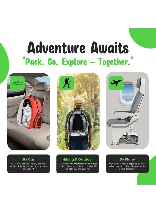 Buraq Astronaut Transparent Pet Carrier Backpack - for Travel, Hiking, Designed with Breathable Space, Ventilated, Airline-Approved, Sturdy Pad for Puppies & Cats (31.8L x 25.4W x 41.9H Centimeters) - Image 3