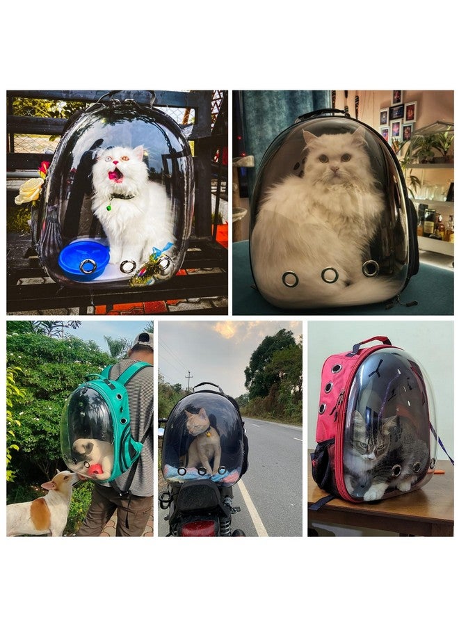 Buraq Astronaut Transparent Pet Carrier Backpack - for Travel, Hiking, Designed with Breathable Space, Ventilated, Airline-Approved, Sturdy Pad for Puppies & Cats (31.8L x 25.4W x 41.9H Centimeters) - Image 5