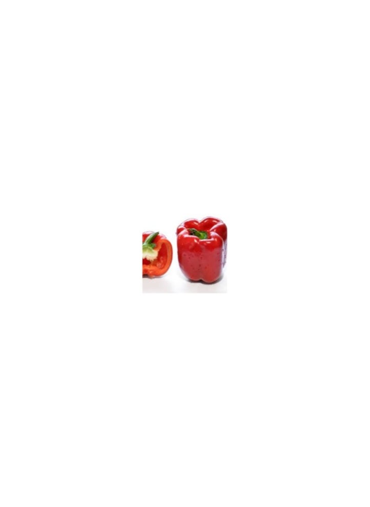 GROW Colored Pepper seeds al-fajr 