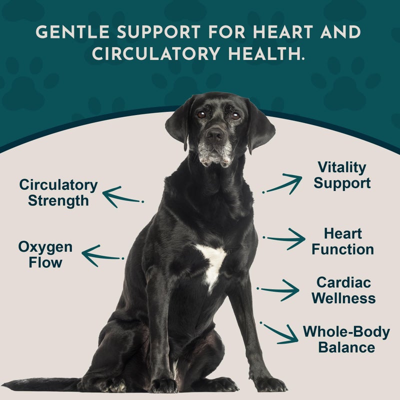 Animal Essentials Heart Health for Dogs & Cats - Cardiovascular Support Supplement, Healthy Heart, Organic Hawthorn Berry, Herbal Tincture - 2 Fl Oz - Image 3