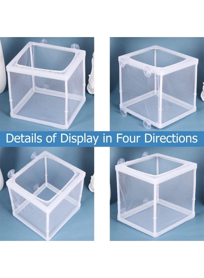 صندوق تربية الأسماك في حوض السمك Boyu، صندوق عزل، صندوق فقس لشبكة قلي الأسماك (صغير (Nb-3201) - صندوق فردي) - Image 5