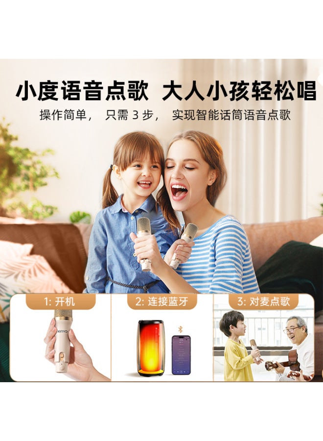 K9 Microphone Audio Integrated Microphone Home Outdoor K-song Portable Small Audio Wireless Set Bluetooth Audio - Image 4