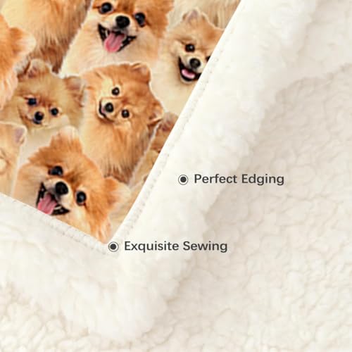 BlessLiving Fuzzy Dogs Blanket - Pomeranian Throw, Reversible Sherpa Fleece, Cute Puppy Design, 50 x 60 Inches - Image 4