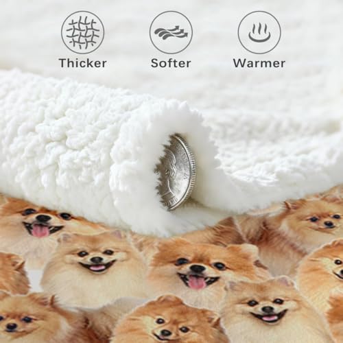 BlessLiving Fuzzy Dogs Blanket - Pomeranian Throw, Reversible Sherpa Fleece, Cute Puppy Design, 50 x 60 Inches - Image 5
