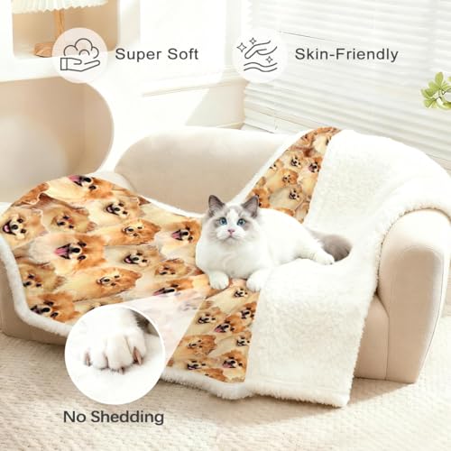BlessLiving Fuzzy Dogs Blanket - Pomeranian Throw, Reversible Sherpa Fleece, Cute Puppy Design, 50 x 60 Inches - Image 2