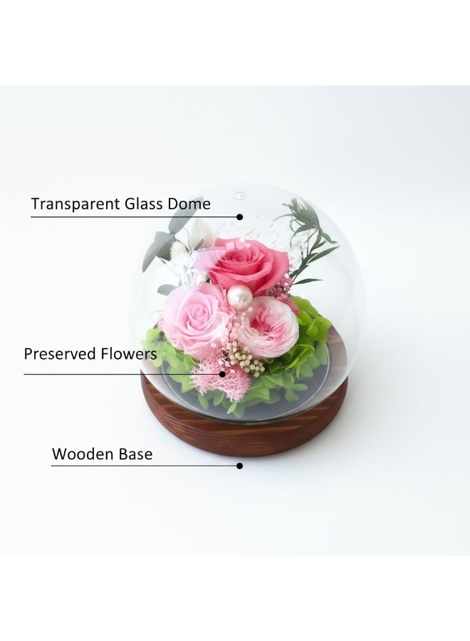 ديكور الزهور المحفوظة الوردية - مصنوع يدوياً، طازجة طويلة الأمد. هدية عيد ميلاد رومانسية، زينة سطح المكتب (12 سم × 12 سم) - Image 3