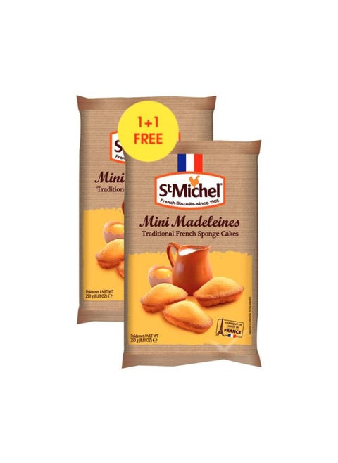 Mini Madeleines French Sponge Cakes 2 x 250g