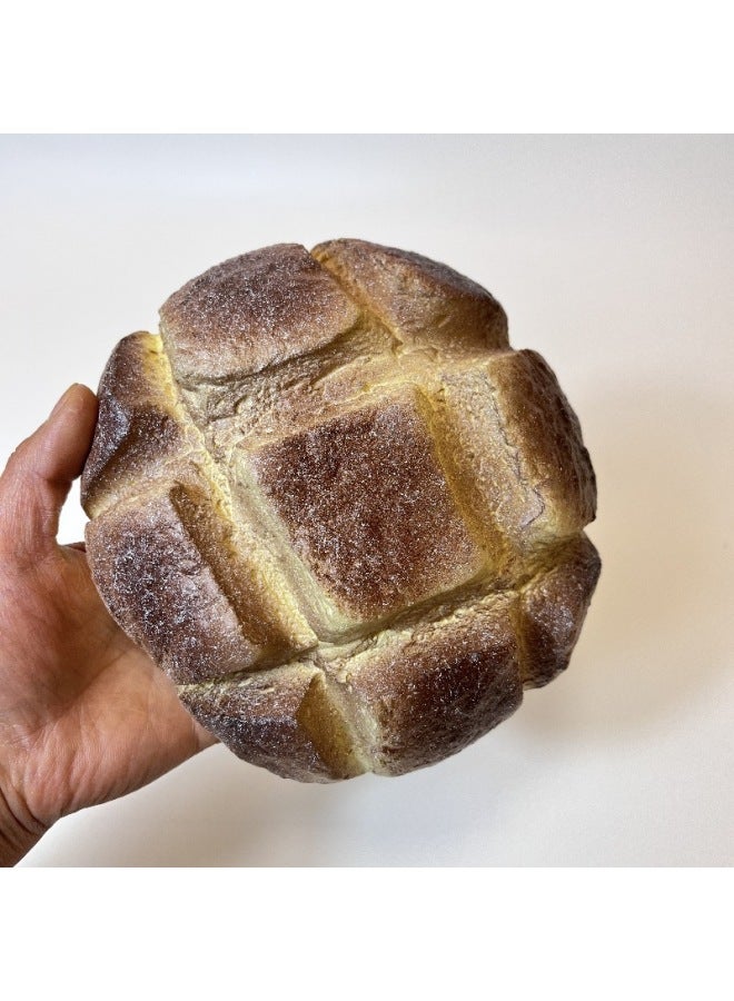 Squishy Slow Rebound Wet Soft Toy Large PineFor Apple Bag Large Abs Square Bread PU Simulation Toys Wholesale-Color:Large PineFor Apple Bag (Chocolate Color)  - Image 1