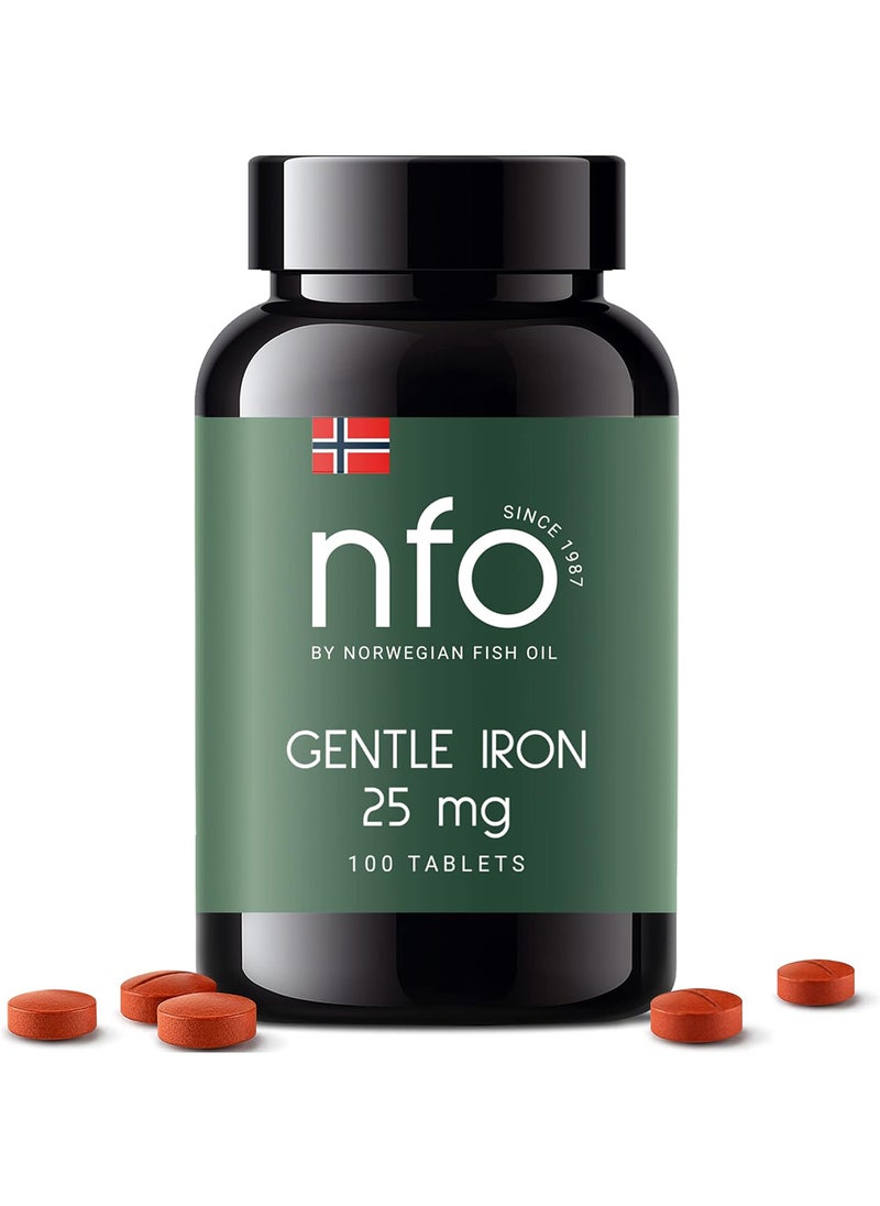 NFO Nfo Gentle Iron N100-B 