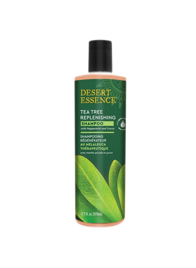 شامبو ديزرت إيسنس المغذي بزيت شجرة الشاي، 12.7 أونصة سائلة، خالٍ من الغلوتين، نباتي، غير معدل وراثيًا، خالٍ من البارابين - شامبو مغذي بزيت النعناع والأوكالبتوس لتنظيف الشعر بعمق - Image 1