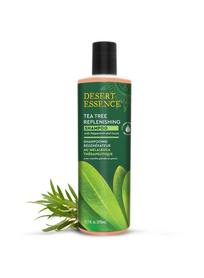شامبو ديزرت إيسنس المغذي بزيت شجرة الشاي، 12.7 أونصة سائلة، خالٍ من الغلوتين، نباتي، غير معدل وراثيًا، خالٍ من البارابين - شامبو مغذي بزيت النعناع والأوكالبتوس لتنظيف الشعر بعمق - Image 2