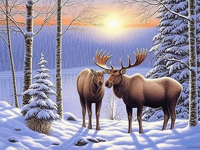 Diymood DIY 5D Diamond Painting by Number Kits Diamond Painting Moose Winter Forest Paint with Diamonds Arts for Adults Full Drill Canvas Picture for Home Wall Decor 40x50cm16x20inch