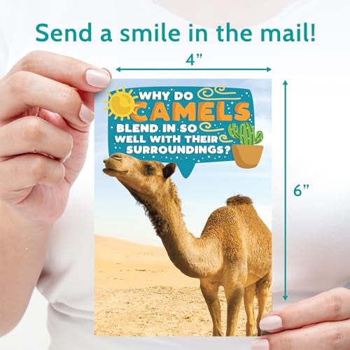 T MARIE 40 Funny Animal Joke Postcards with No Repeats - 4x6” Humorous Bulk Thinking of You Postcards for Kids, Grandkids, Students, and Teachers, Summer Camp, Lunchboxes and More - Image 5