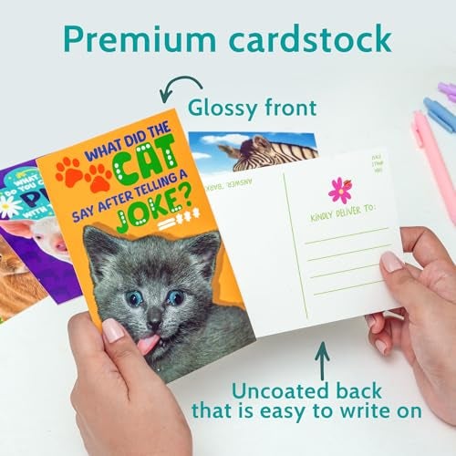 T MARIE 40 Funny Animal Joke Postcards with No Repeats - 4x6” Humorous Bulk Thinking of You Postcards for Kids, Grandkids, Students, and Teachers, Summer Camp, Lunchboxes and More - Image 3