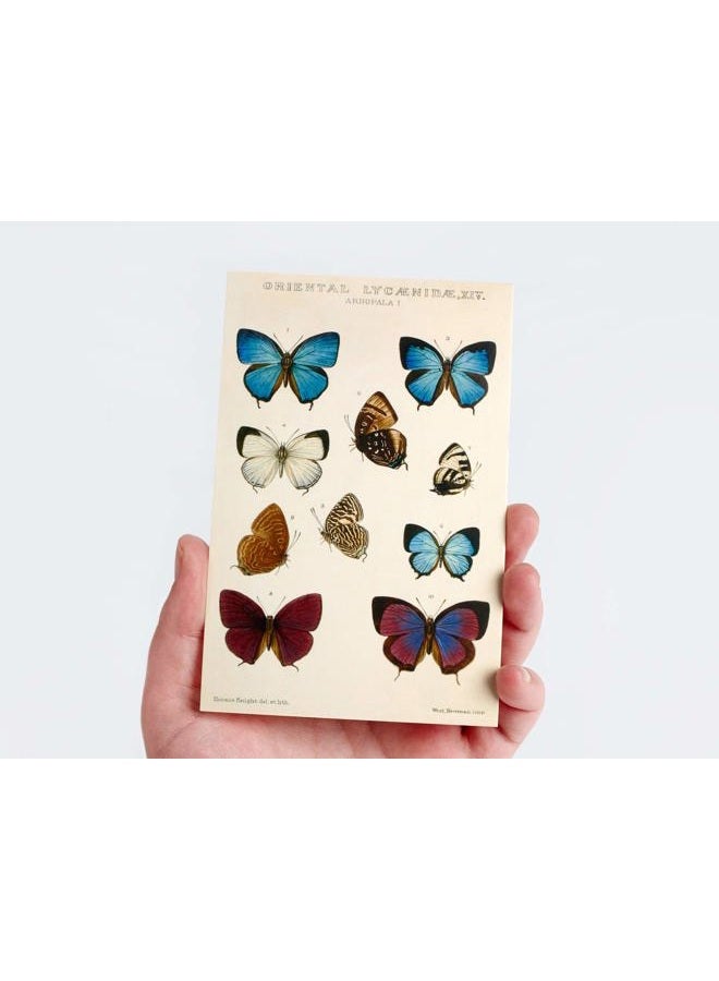 Wintertime Crafts Vintage Collection Postcard Set: Pack of 30 Retro Style Botanical, Nature and Ephemera Postcards - Image 4