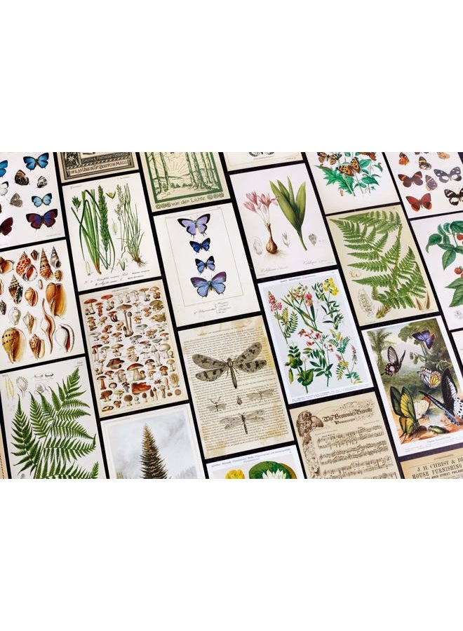 Wintertime Crafts Vintage Collection Postcard Set: Pack of 30 Retro Style Botanical, Nature and Ephemera Postcards - Image 3