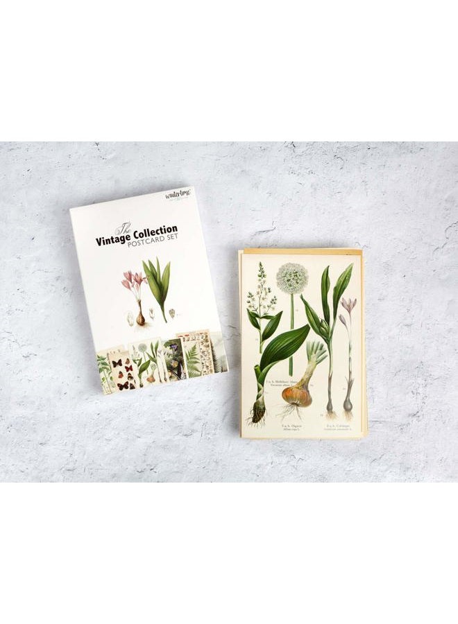 Wintertime Crafts Vintage Collection Postcard Set: Pack of 30 Retro Style Botanical, Nature and Ephemera Postcards - Image 2