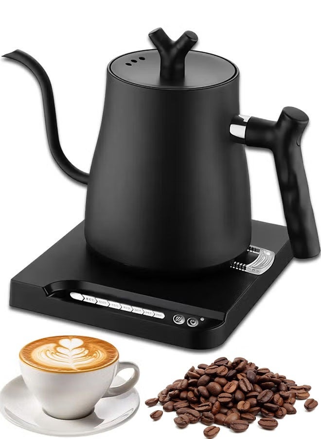 TOSCANA U Gooseneck Electric Kettle 1L , Pour Over Coffee Kettle with Constant Temperature , Stainless Steel - Image 1