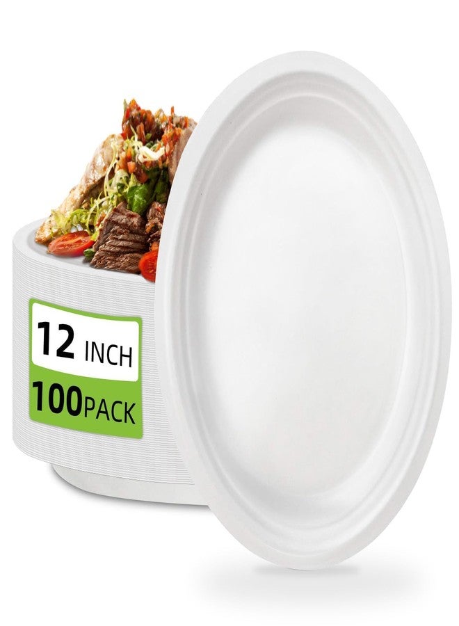 VEIZEDD 100 Pcs Compostable Oval Paper Plates 12 Inch - Heavy Duty Bagasse Platters - Biodegradable White Plates,Eco-Friendly Disposable Dinner Platters for BBQ,Picnic,Wedding,Party,Thanksgiving,Christmas - Image 1