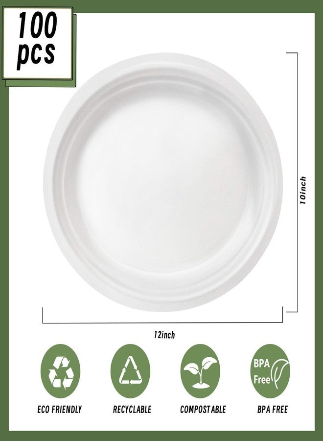 VEIZEDD 100 Pcs Compostable Oval Paper Plates 12 Inch - Heavy Duty Bagasse Platters - Biodegradable White Plates,Eco-Friendly Disposable Dinner Platters for BBQ,Picnic,Wedding,Party,Thanksgiving,Christmas - Image 2