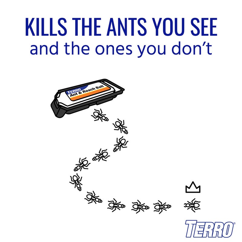 TERRO Ant & Roach Bait - Indoor Ant Killer and Roach Killer - 4 Bait Stations - Attracts and Kills Ants, Roaches, and Silverfish - T360 - Image 4