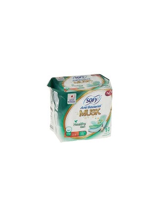 Antibacterial sanitary pads with musk for healthy skin, large and long, with wings and barriers to prevent leakage and keep the skin soft and moist without itching, 10 pads - pzsku/ZB28A8A4053AF04549913Z/45/_/1723404787/62481d45-d807-4ea2-a037-67af229e64e7