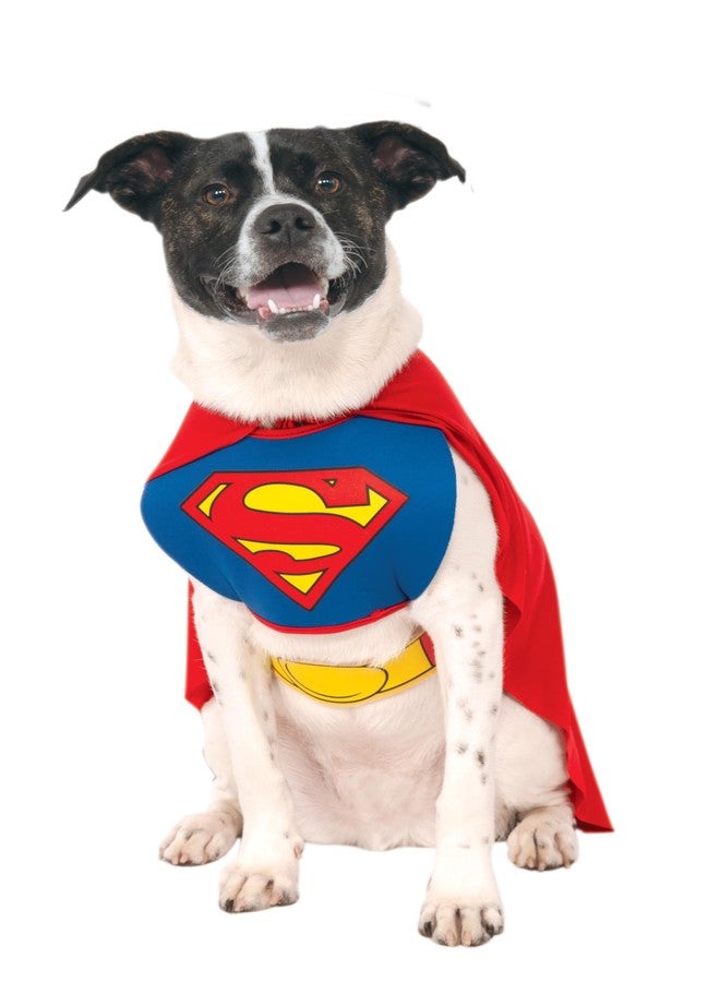 Rubies DC Comics Superheroes: Superman Pet Costume for For Dogs or Cats by Rubies, Large - Image 1