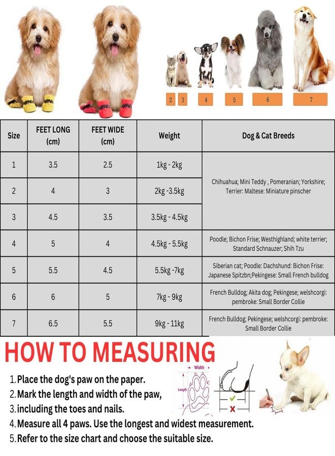 PETANGEL Dog Shoes|Pack of 4pcs Anti-Slip Dog Boots with Reflective Stripe & Comfortable Soft Soled Skidproof Sneakers with Adjustable Drawstring for Chiuhuahua, Yorkshire,Toy Pom, etc (Blue, Size:2) - Image 2