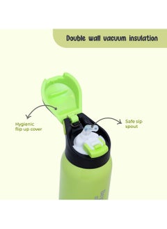 Eazy Kids Eazy Kids Double Wall Insulated School Water Bottle - Green, 500ml  - Image 5